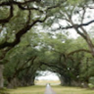 Meet your Posher, Nayan